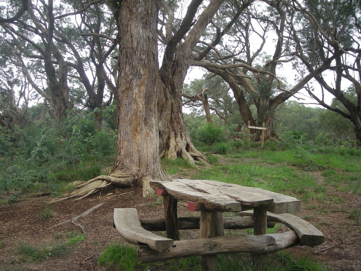 Relais Du Volcan La Plaine des Cafres Buitenkant foto