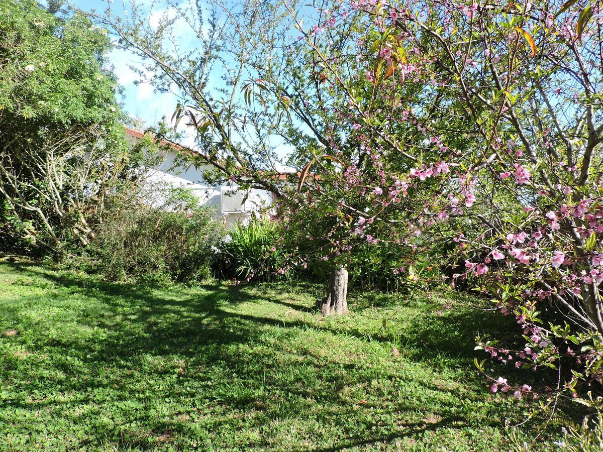 Relais Du Volcan La Plaine des Cafres Buitenkant foto
